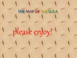 THE MAP OF THE U.S.A