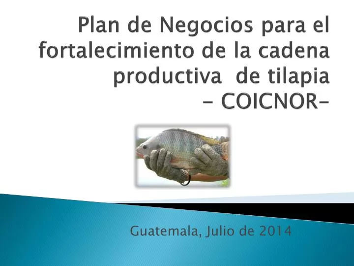 plan de negocios para el fortalecimiento de la cadena productiva de tilapia coicnor