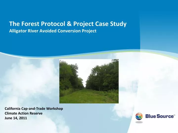 the forest protocol project case study alligator river avoided conversion project