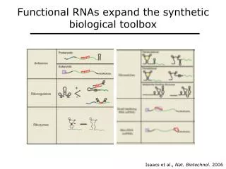 Functional RNAs expand the synthetic biological toolbox