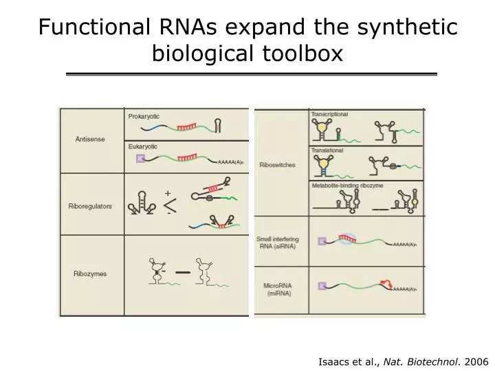 functional rnas expand the synthetic biological toolbox