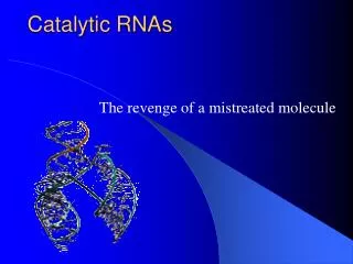 Catalytic RNAs
