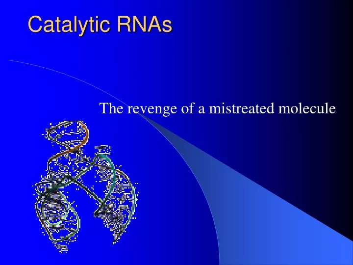 catalytic rnas