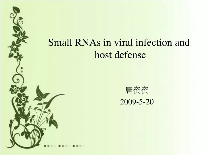 small rnas in viral infection and host defense