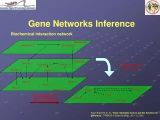Gene Networks Inference