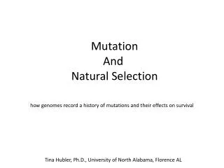 Mutation And Natural Selection