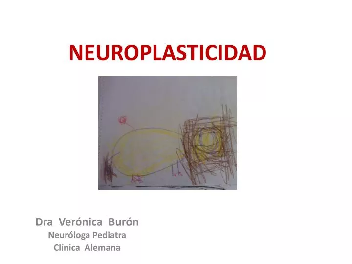 neuroplasticidad