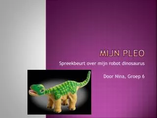 mijn pleo