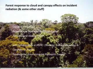 Forest response to cloud and canopy effects on incident radiation (&amp; some other stuff)