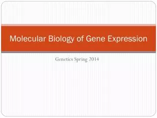 Molecular Biology of Gene Expression