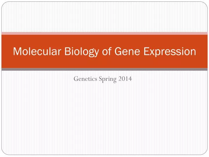 molecular biology of gene expression