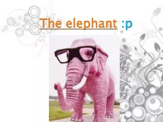 The elephant :p