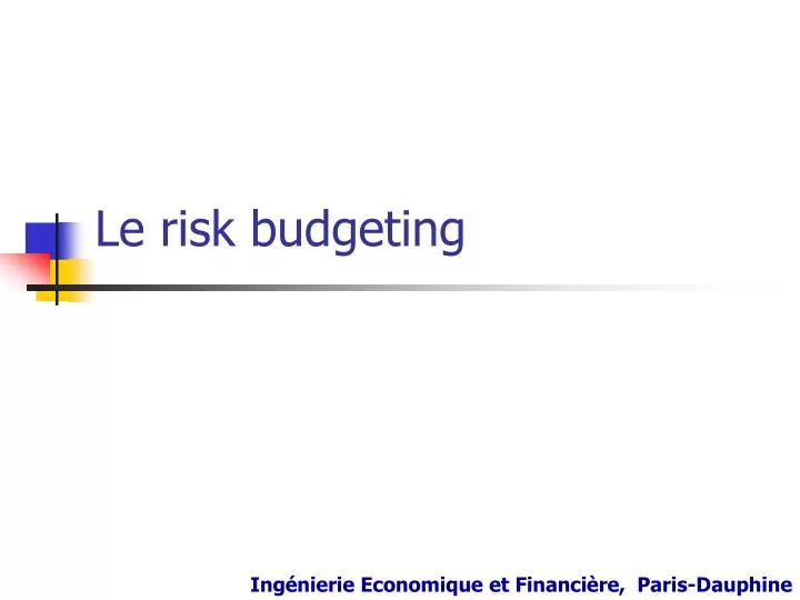 le risk budgeting