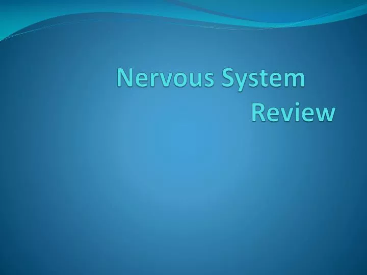 nervous system review