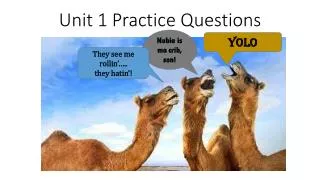 Unit 1 Practice Questions