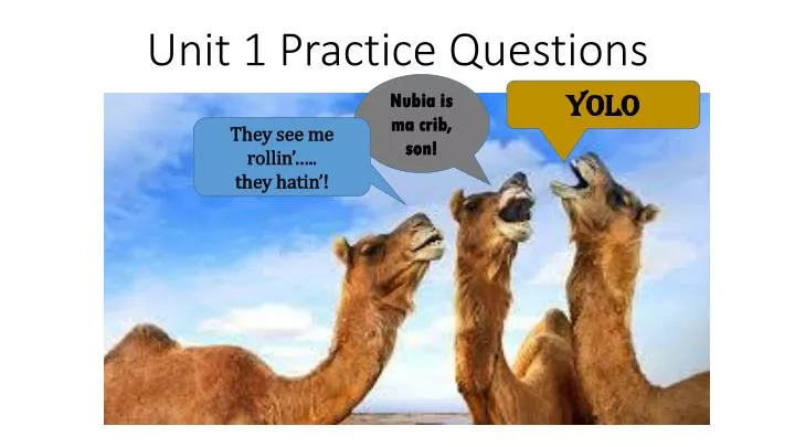 unit 1 practice questions