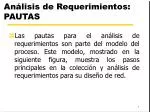 Análisis de Requerimientos: PAUTAS - slide 1