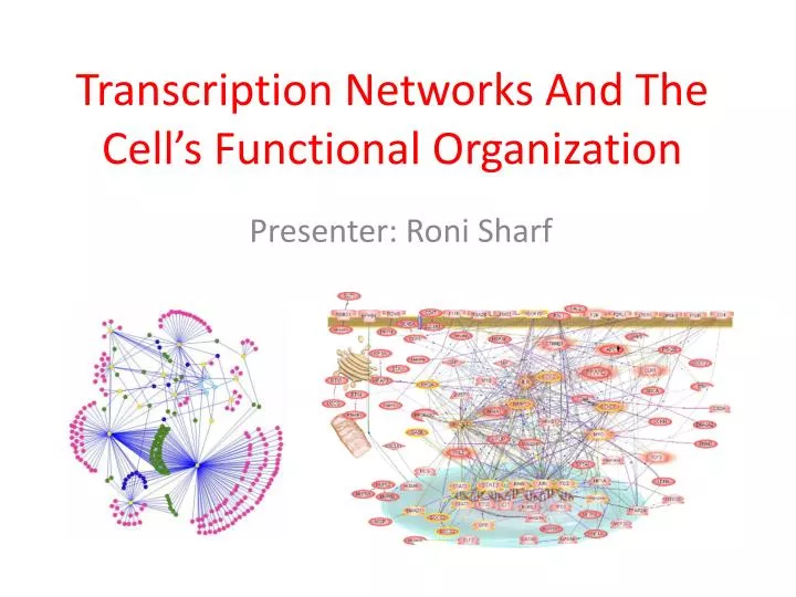 transcription networks and the cell s functional organization