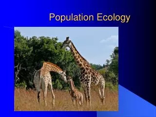 Population Ecology