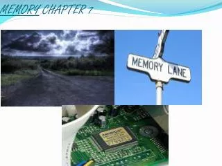 MEMORY CHAPTER 7