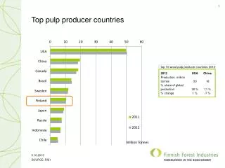 Top pulp producer countries