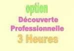 option - slide 1