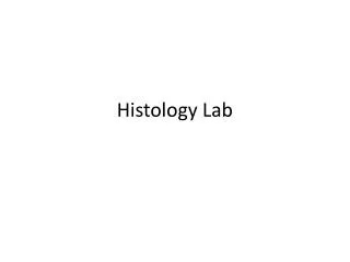 Histology Lab