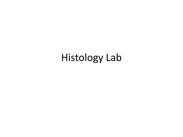 histology lab