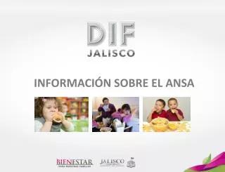 informaci n sobre el ansa