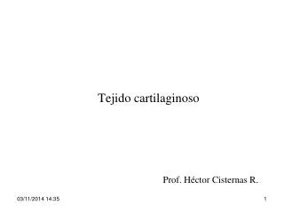 tejido cartilaginoso