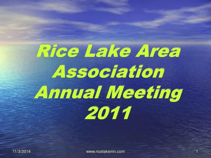 rice lake area association annual meeting 2011