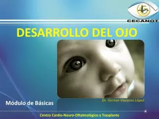desarrollo del ojo