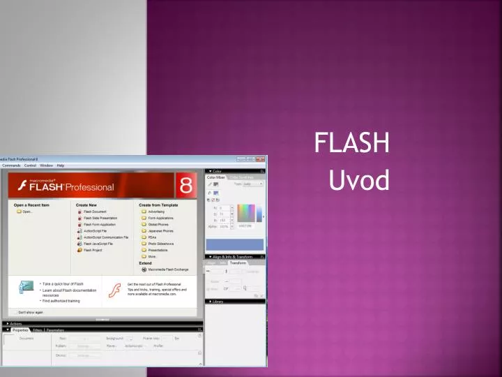 flash uvod