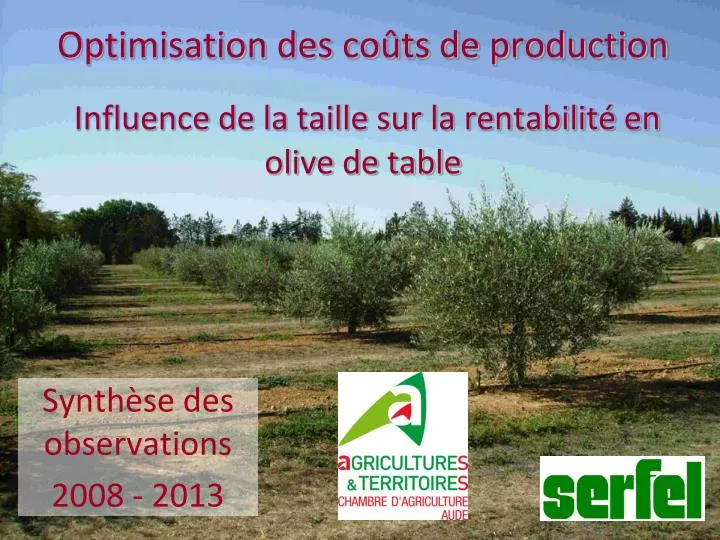 optimisation des co ts de production influence de la taille sur la rentabilit en olive de table