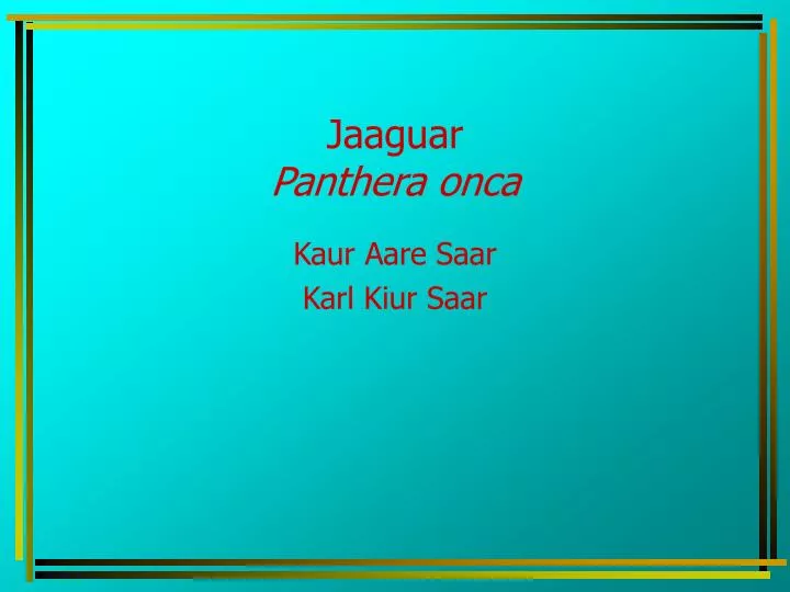 jaaguar panthera onca