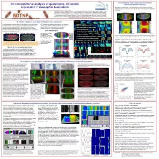 On computational analysis of quantitative, 3D spatial expression in Drosophila blastoderm