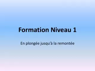 formation niveau 1