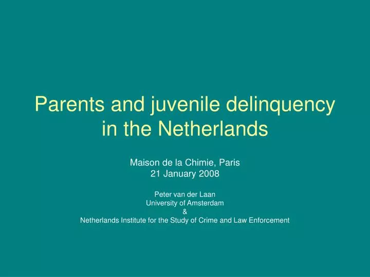 parents and juvenile delinquency in the netherlands