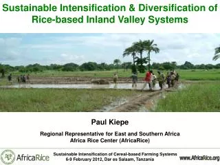 Sustainable Intensification &amp; Diversification of Rice-based Inland Valley Systems Paul Kiepe