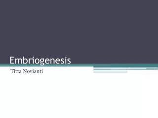embriogenesis
