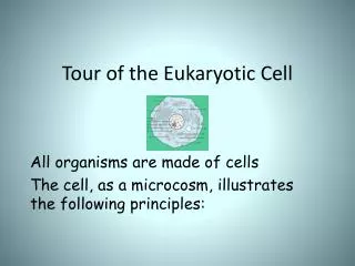 Tour of the Eukaryotic Cell
