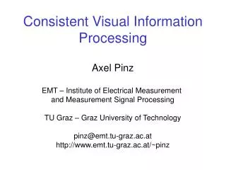 Consistent Visual Information Processing