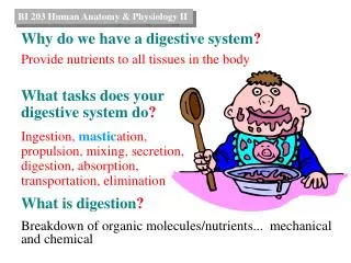 BI 203 Human Anatomy &amp; Physiology II