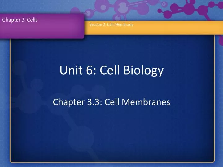 chapter 3 3 cell membranes