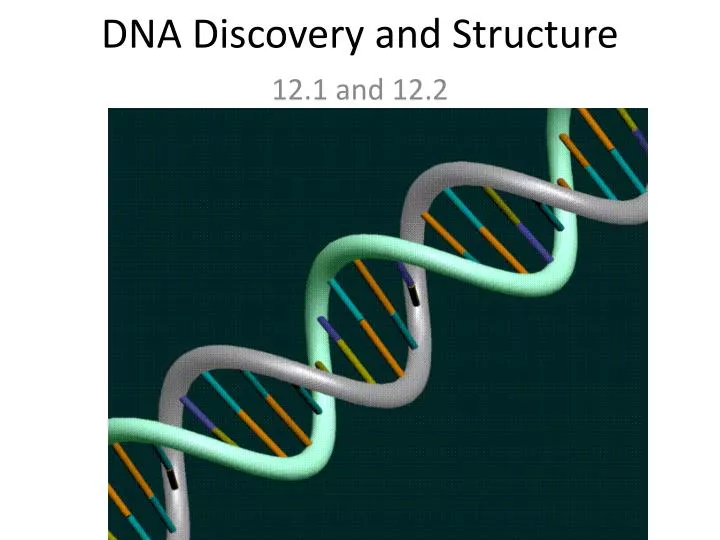 dna discovery and structure