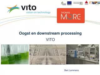 oogst en downstream processing vito