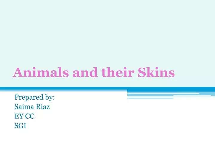 animals and their skins