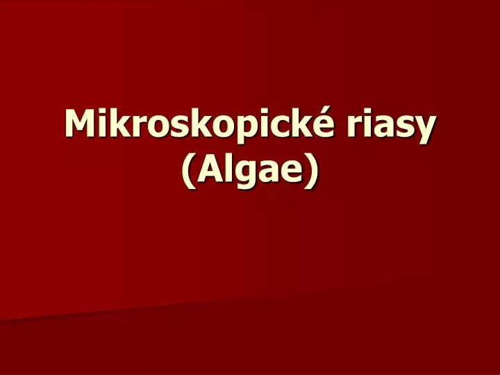 mikroskopick riasy algae