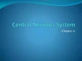 central nervous system