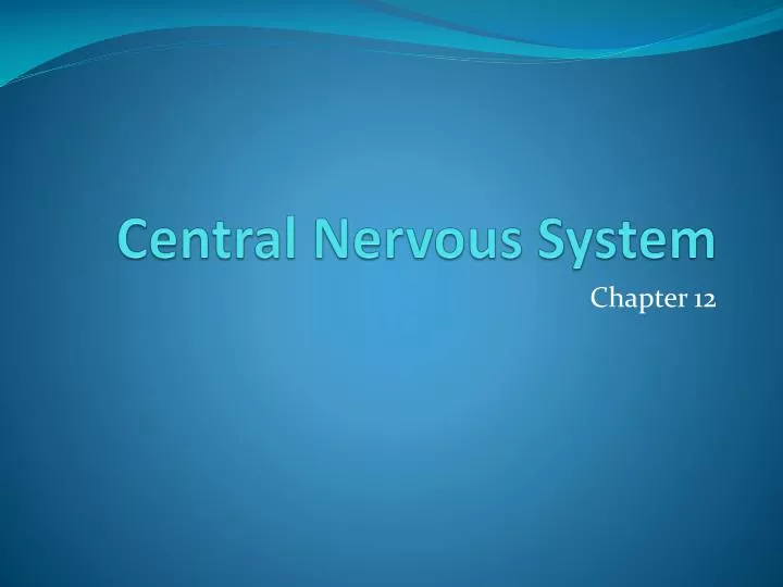 central nervous system